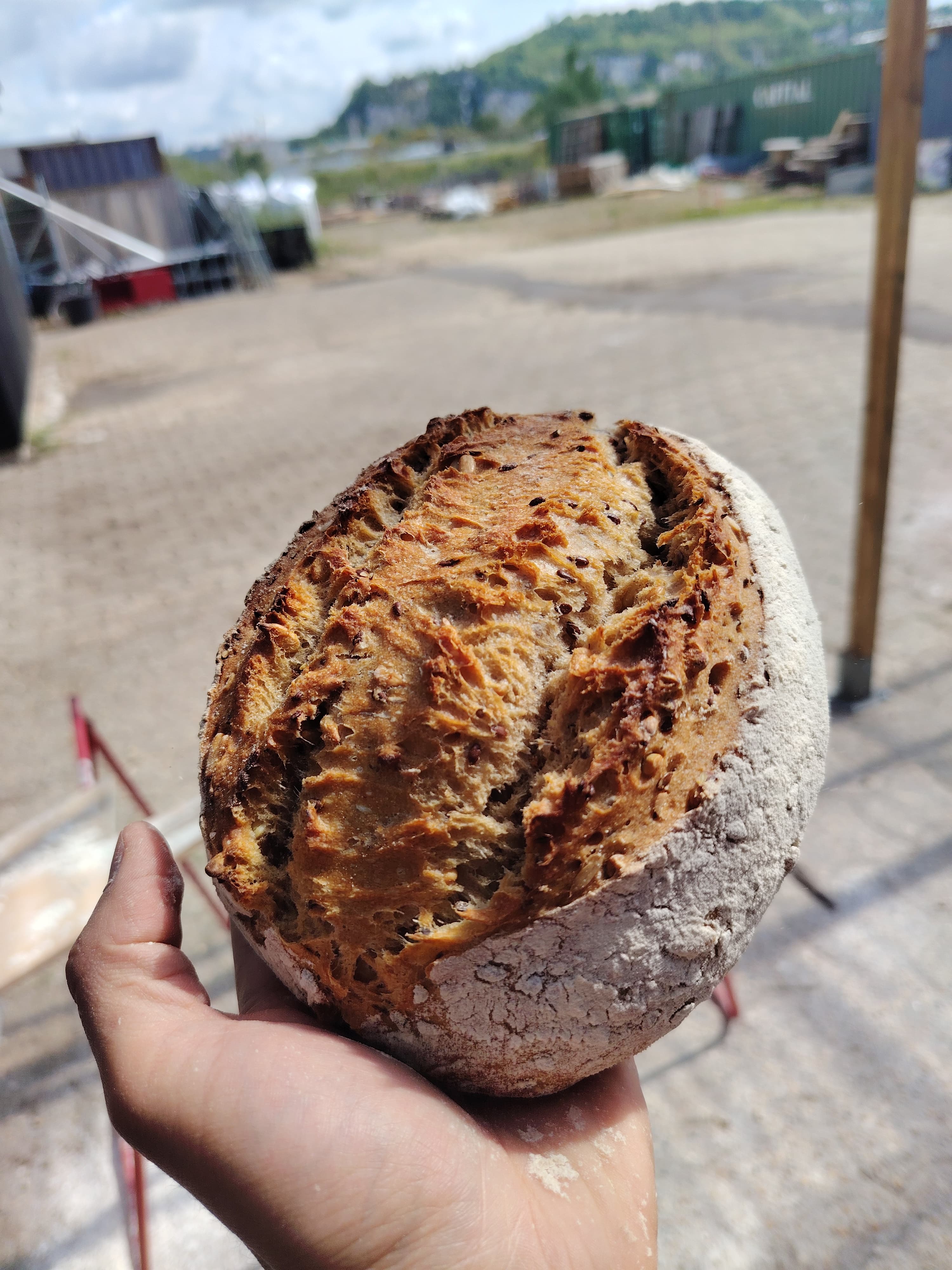 Pain semi-complet aux graines au levain — photo à remplacer