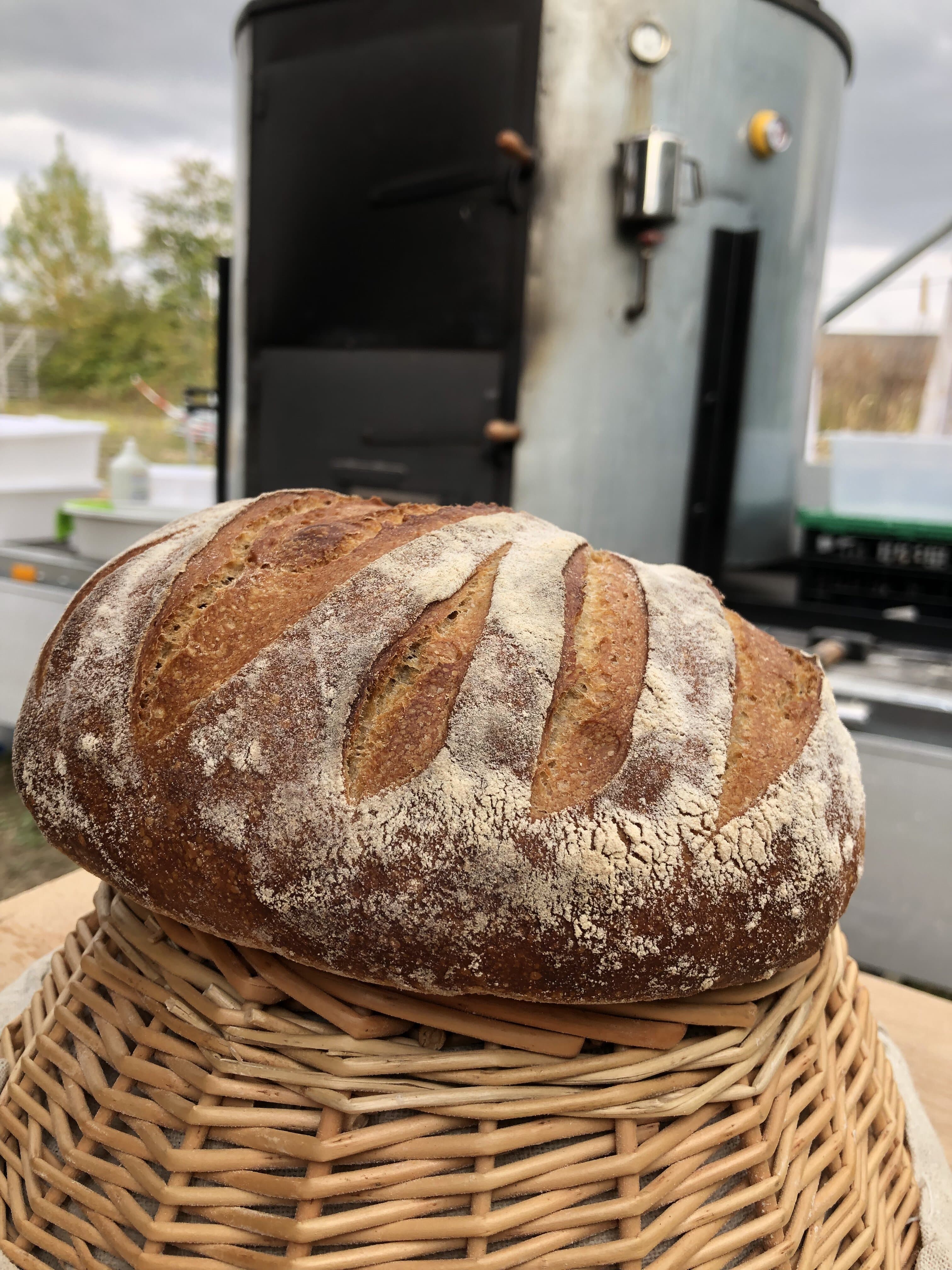Pain aux blés anciens au levain — photo à remplacer