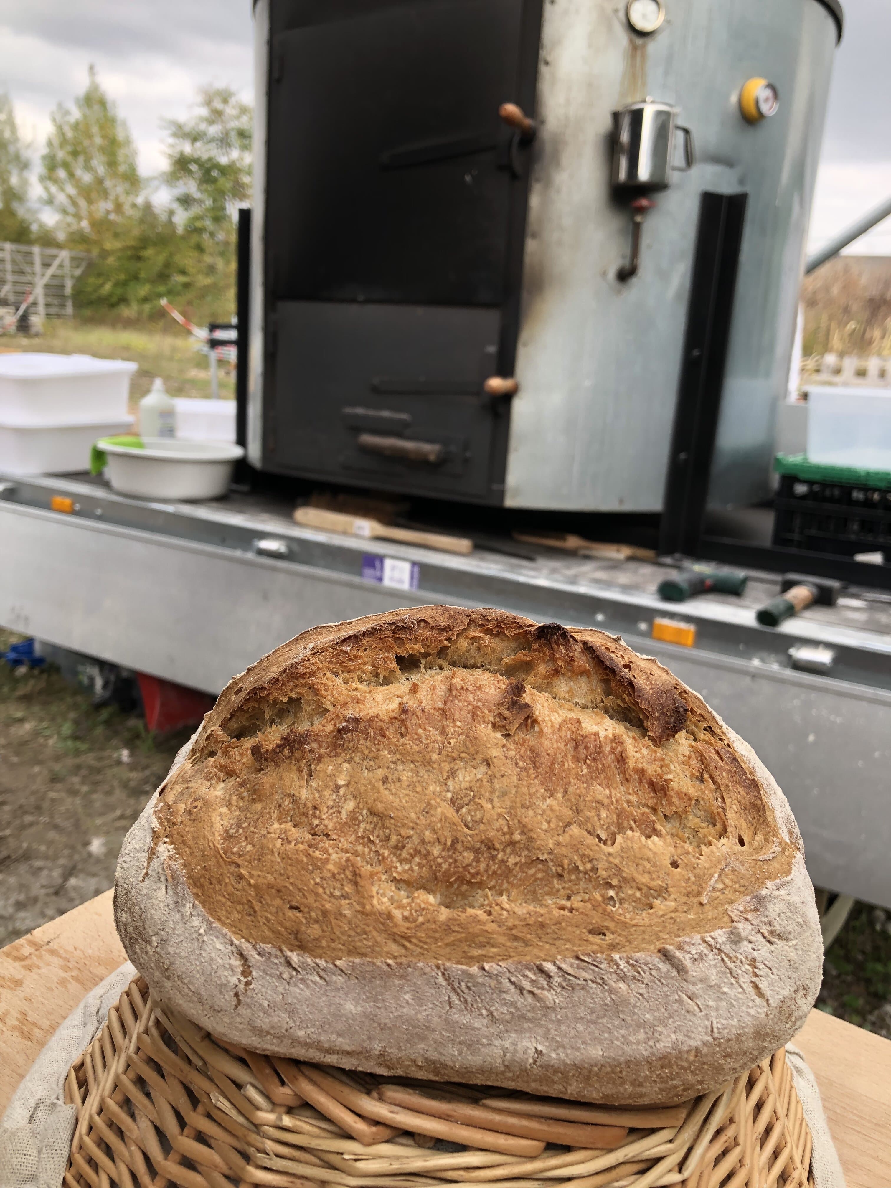 Pain semi-complet au levain — photo à remplacer